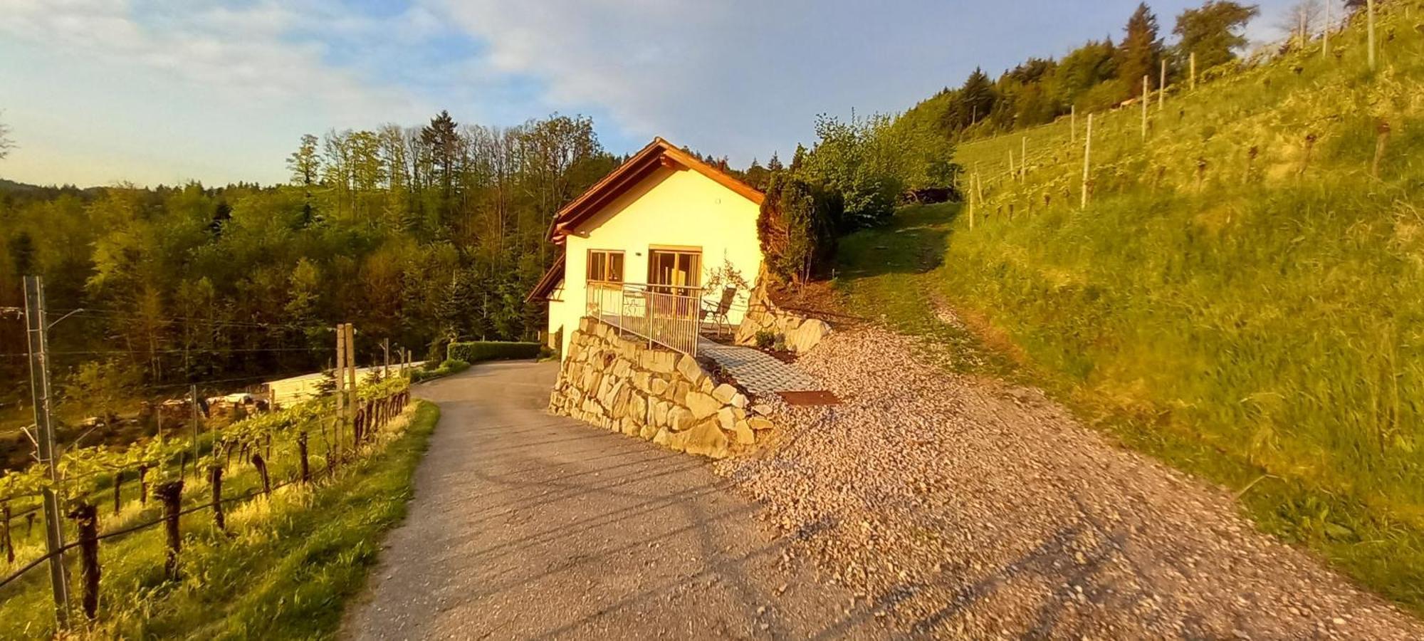 Ferienwohnung Schwarzwaldglueck Oberkirch  Exterior foto